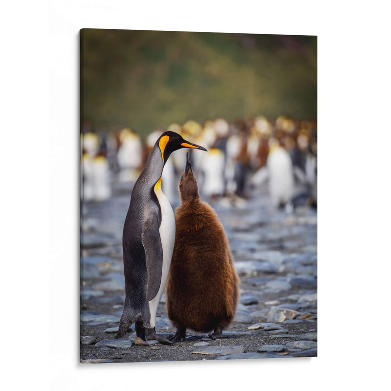 Maternal - Carlos Montaño | Cuadro decorativo de Canvas Lab