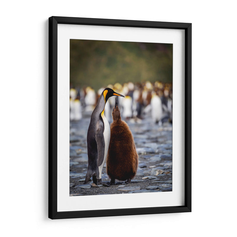 Maternal - Carlos Montaño | Cuadro decorativo de Canvas Lab