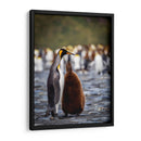 Maternal - Carlos Montaño | Cuadro decorativo de Canvas Lab