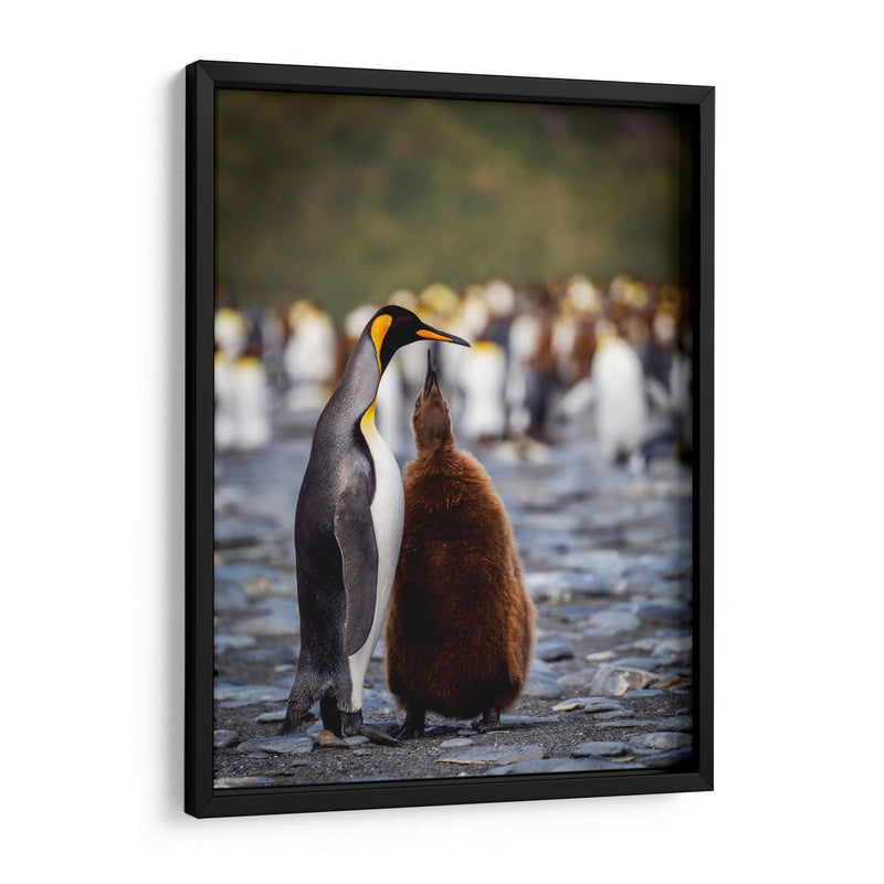 Maternal - Carlos Montaño | Cuadro decorativo de Canvas Lab