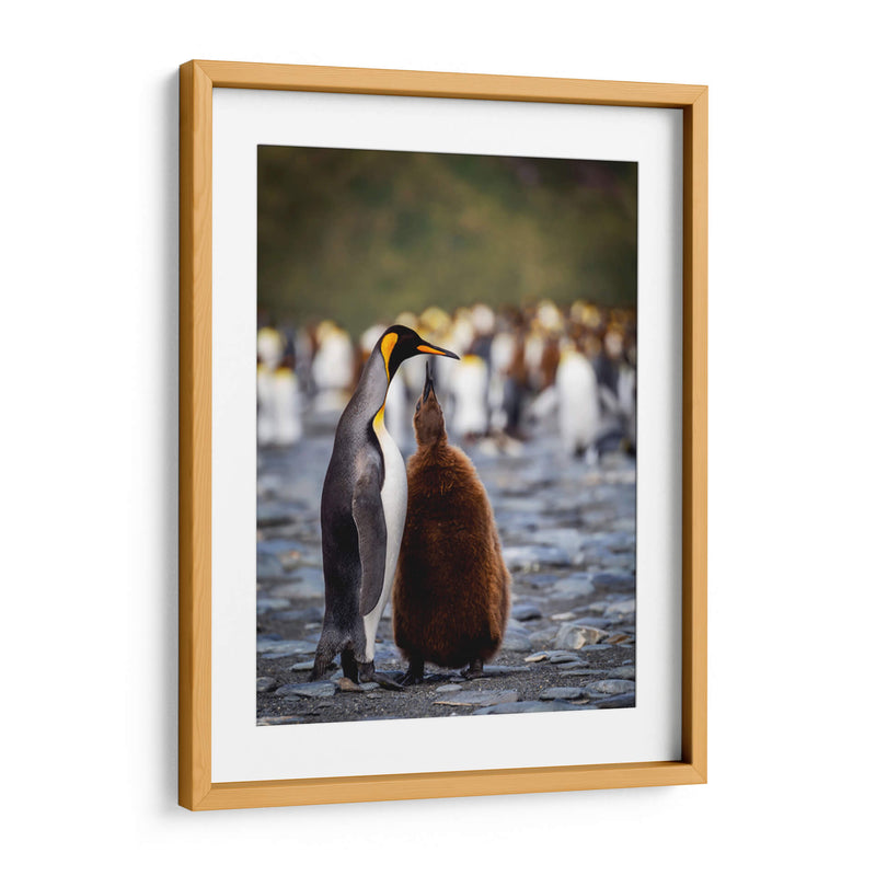 Maternal - Carlos Montaño | Cuadro decorativo de Canvas Lab