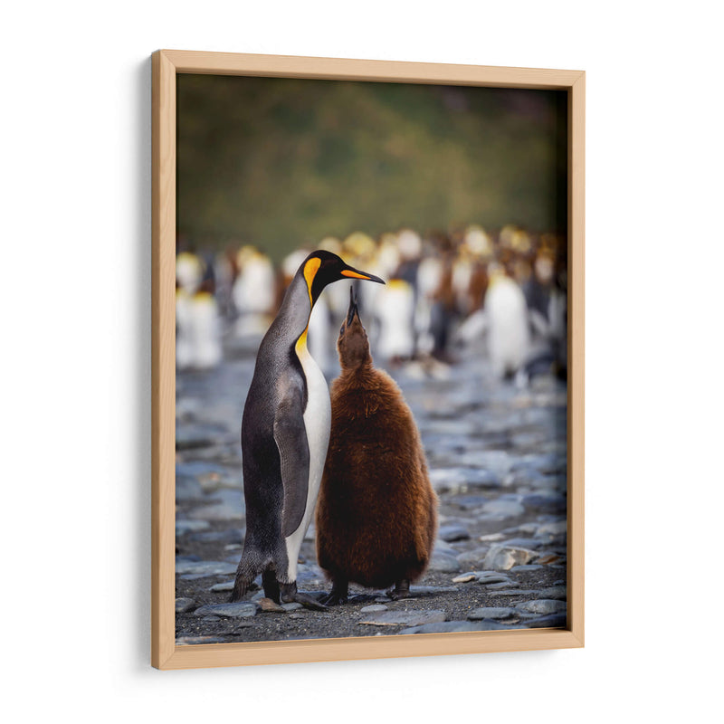 Maternal - Carlos Montaño | Cuadro decorativo de Canvas Lab