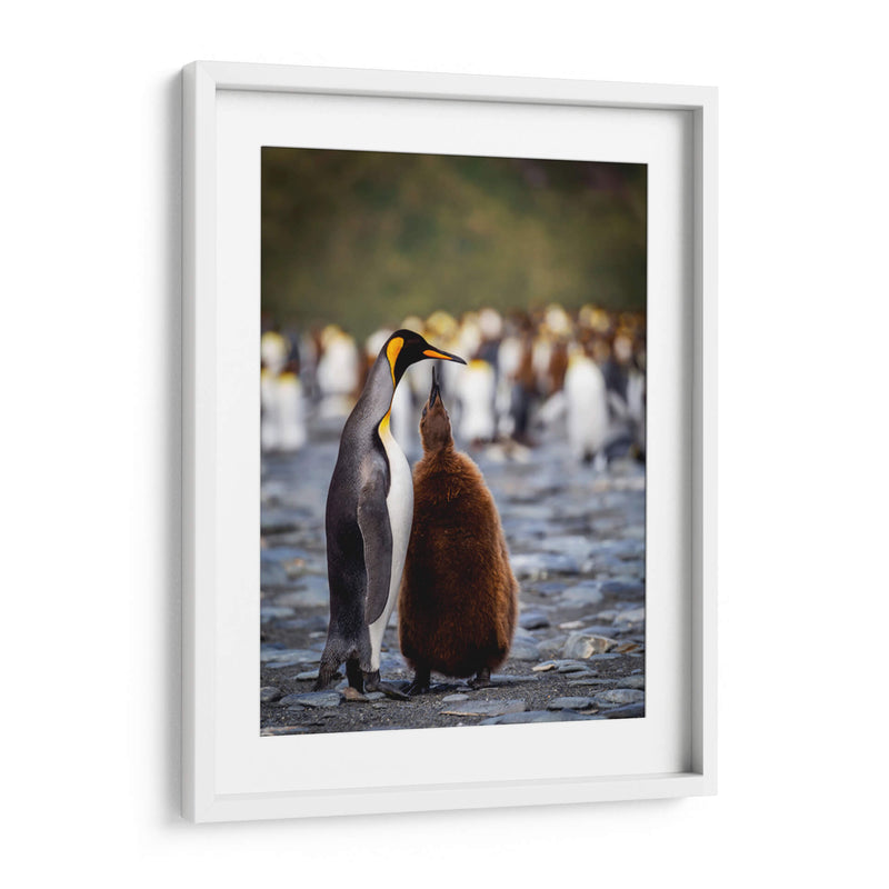 Maternal - Carlos Montaño | Cuadro decorativo de Canvas Lab