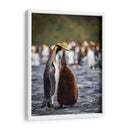 Maternal - Carlos Montaño | Cuadro decorativo de Canvas Lab