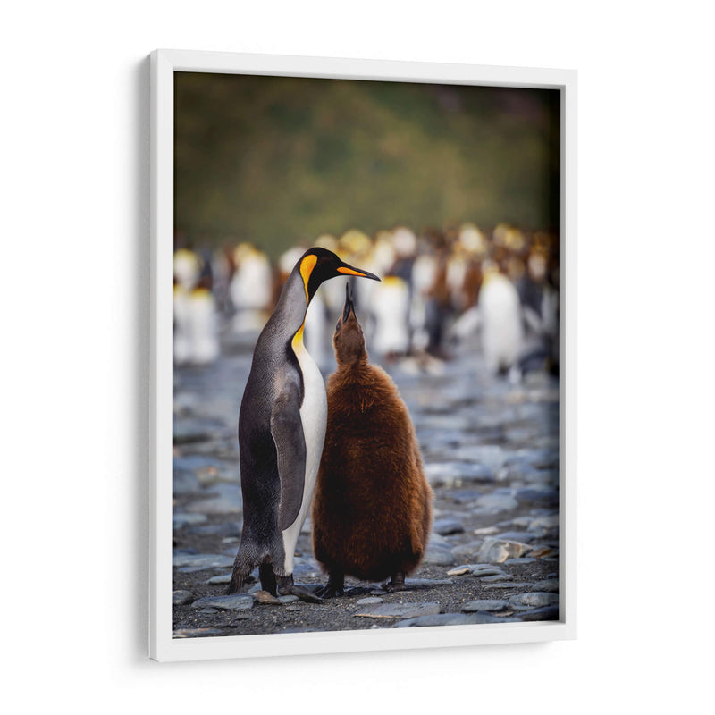 Maternal - Carlos Montaño | Cuadro decorativo de Canvas Lab