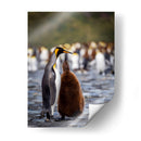 Maternal - Carlos Montaño | Cuadro decorativo de Canvas Lab