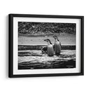 Pingüinos chinstrap en la playa - Carlos Montaño | Cuadro decorativo de Canvas Lab