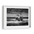 Pingüinos chinstrap en la playa - Carlos Montaño | Cuadro decorativo de Canvas Lab