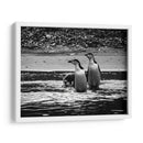 Pingüinos chinstrap en la playa - Carlos Montaño | Cuadro decorativo de Canvas Lab