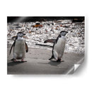 Pinguinos chinstrap - Carlos Montaño | Cuadro decorativo de Canvas Lab