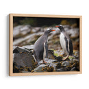 Pareja de pingüinos Gentoo - Carlos Montaño | Cuadro decorativo de Canvas Lab