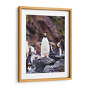 Pingino Maraconi de frente - Carlos Montaño | Cuadro decorativo de Canvas Lab