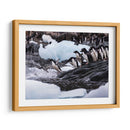 Pingüinos Adelie saltando 1 - Carlos Montaño | Cuadro decorativo de Canvas Lab