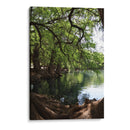 Raíces en el lago de Camecuaro - Luis Rodrigo Magaña Andrade | Cuadro decorativo de Canvas Lab