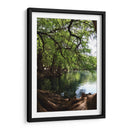 Raíces en el lago de Camecuaro - Luis Rodrigo Magaña Andrade | Cuadro decorativo de Canvas Lab