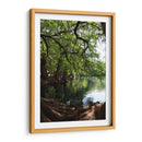 Raíces en el lago de Camecuaro - Luis Rodrigo Magaña Andrade | Cuadro decorativo de Canvas Lab