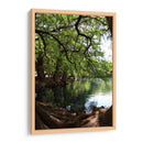 Raíces en el lago de Camecuaro - Luis Rodrigo Magaña Andrade | Cuadro decorativo de Canvas Lab