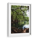 Raíces en el lago de Camecuaro - Luis Rodrigo Magaña Andrade | Cuadro decorativo de Canvas Lab