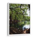 Raíces en el lago de Camecuaro - Luis Rodrigo Magaña Andrade | Cuadro decorativo de Canvas Lab