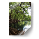 Raíces en el lago de Camecuaro - Luis Rodrigo Magaña Andrade | Cuadro decorativo de Canvas Lab