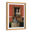 Perro descansando en hacienda - Luis Rodrigo Magaña Andrade | Cuadro decorativo de Canvas Lab