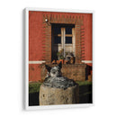 Perro descansando en hacienda - Luis Rodrigo Magaña Andrade | Cuadro decorativo de Canvas Lab