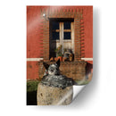 Perro descansando en hacienda - Luis Rodrigo Magaña Andrade | Cuadro decorativo de Canvas Lab