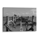 Pelícanos en muelle antiguo - Luis Rodrigo Magaña Andrade | Cuadro decorativo de Canvas Lab