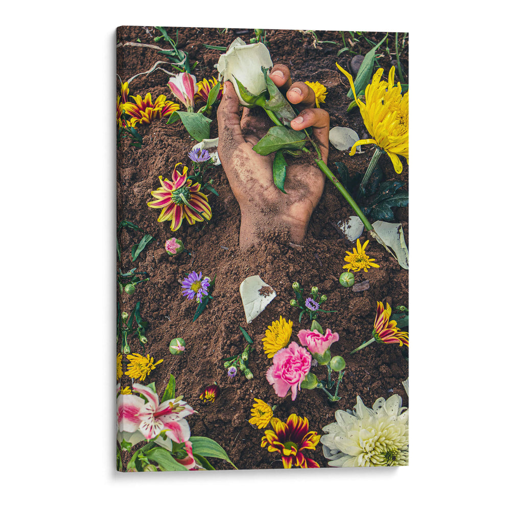 Vida - El Mugiwaraa | Cuadro decorativo de Canvas Lab