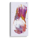 Cometa - Alicia Rodríguez | Cuadro decorativo de Canvas Lab