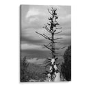 TOTEM - Alvaro Martinz | Cuadro decorativo de Canvas Lab