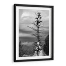 TOTEM - Alvaro Martinz | Cuadro decorativo de Canvas Lab