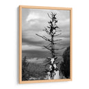 TOTEM - Alvaro Martinz | Cuadro decorativo de Canvas Lab