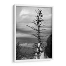 TOTEM - Alvaro Martinz | Cuadro decorativo de Canvas Lab