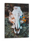 Vida en donde ya no hay | Cuadro decorativo de Canvas Lab