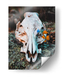 Vida en donde ya no hay | Cuadro decorativo de Canvas Lab