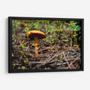 Hongo - Alvaro Martinz | Cuadro decorativo de Canvas Lab