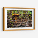 Hongo - Alvaro Martinz | Cuadro decorativo de Canvas Lab