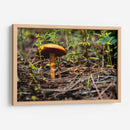 Hongo - Alvaro Martinz | Cuadro decorativo de Canvas Lab