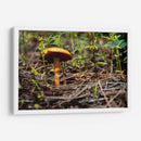 Hongo - Alvaro Martinz | Cuadro decorativo de Canvas Lab