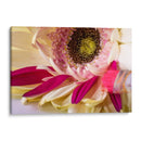 PINTANDO FLORES - Alvaro Martinz | Cuadro decorativo de Canvas Lab