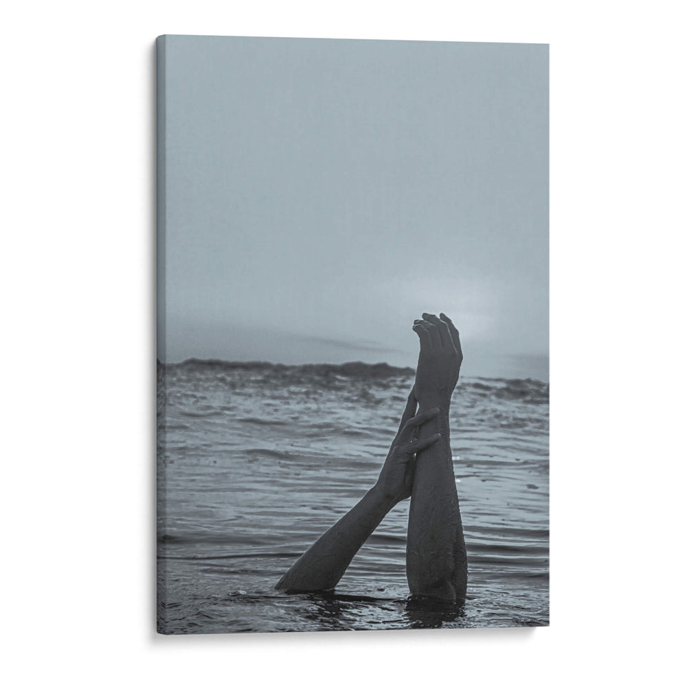 Desolación - El Mugiwaraa | Cuadro decorativo de Canvas Lab