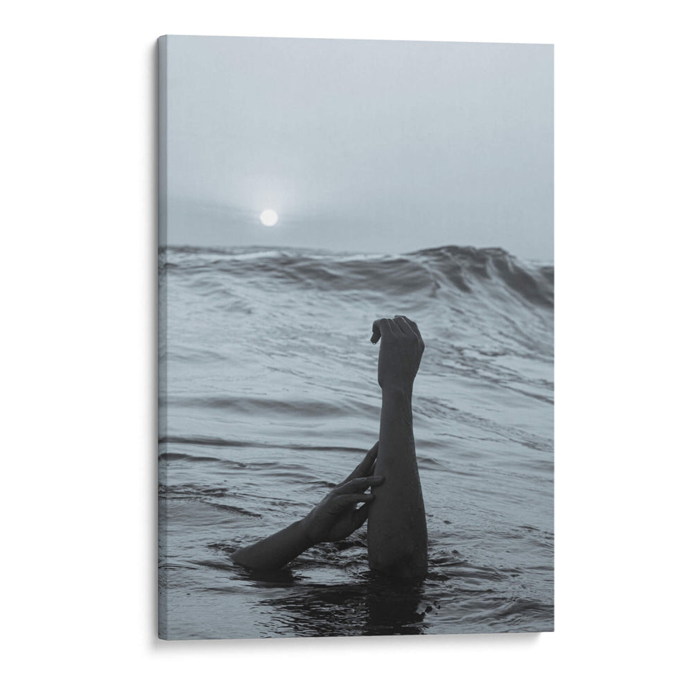 Desolado - El Mugiwaraa | Cuadro decorativo de Canvas Lab