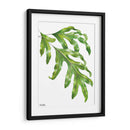 Helecho Pata de Canguro - Blanca Aurora | Cuadro decorativo de Canvas Lab