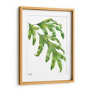 Helecho Pata de Canguro - Blanca Aurora | Cuadro decorativo de Canvas Lab