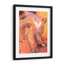 Oso - Caperh | Cuadro decorativo de Canvas Lab