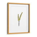 Trigo - Torco | Cuadro decorativo de Canvas Lab