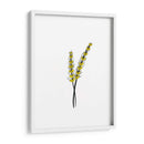 Trigo - Torco | Cuadro decorativo de Canvas Lab