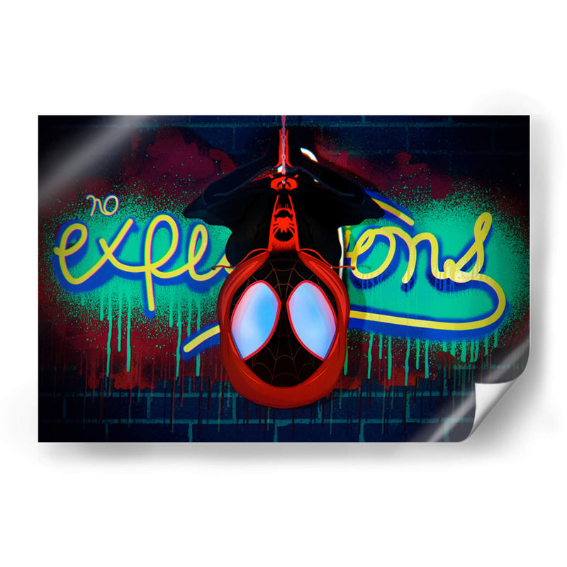 SPIDER-MAN MILES MORALES CHIBI  - CHARLY KAOZ | Cuadro decorativo de Canvas Lab