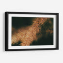 Espigas caídas 01 - Dreamer Studio | Cuadro decorativo de Canvas Lab